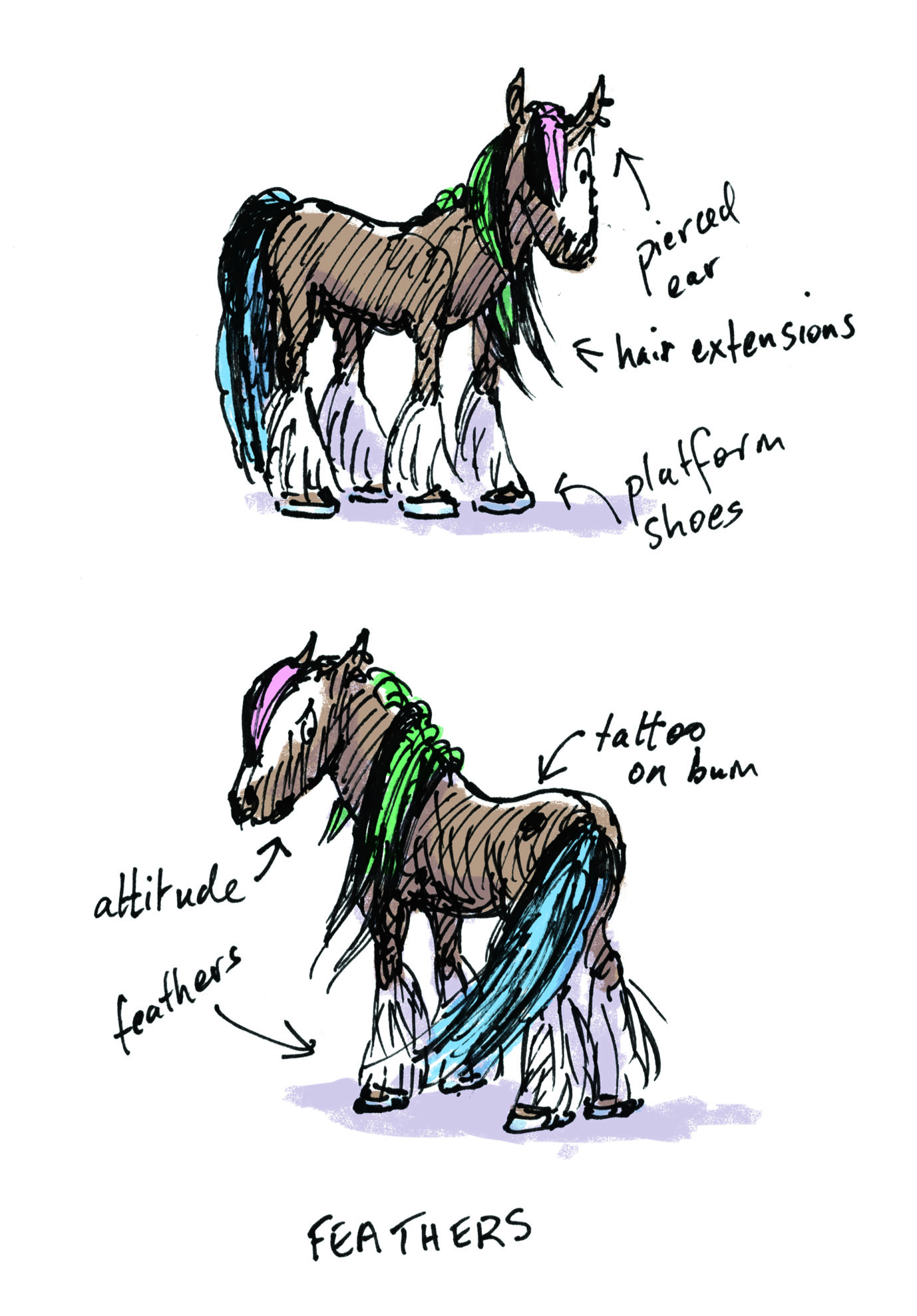 Teen Pony feathers judywatsonart lores