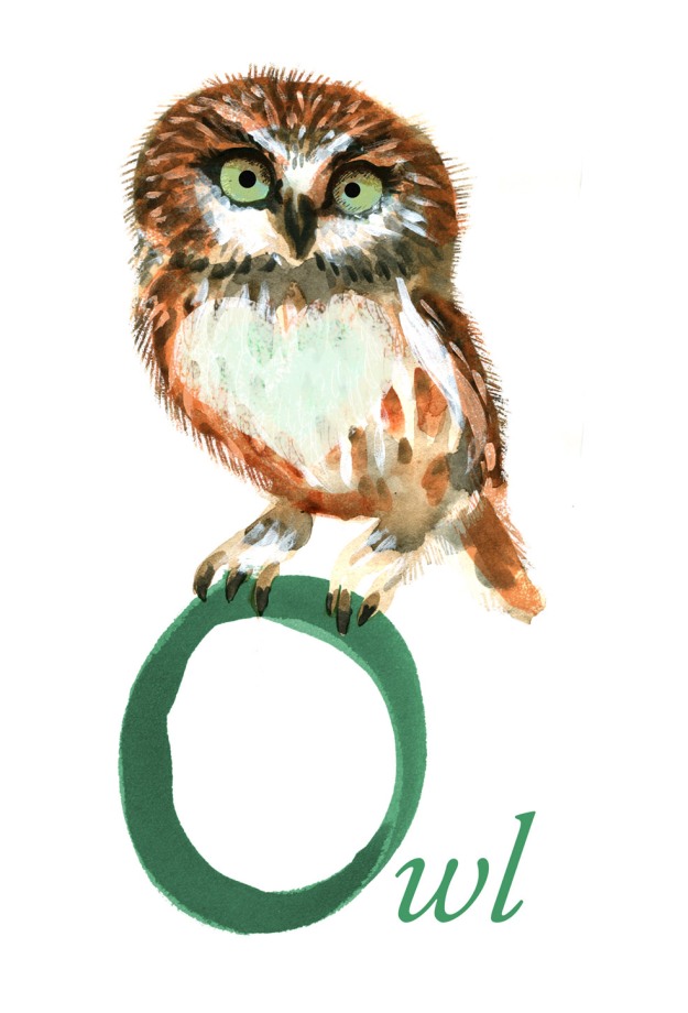 little owl judywatsonart lores